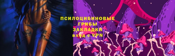 бошки Аркадак