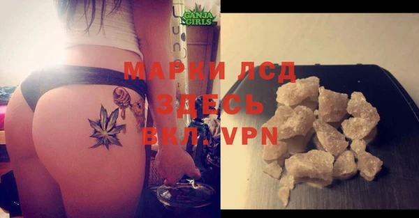 бошки Аркадак