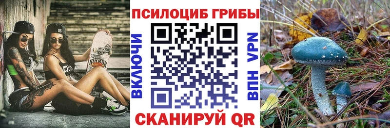 Галлюциногенные грибы Cubensis  Купить где  Аткарск 